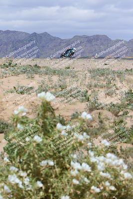 media/Apr-05-2024-Apex Assassins-CVMA Friday Practice (Fri) [[ee2ef04f2b]]/5-Trackday 1/Session 4 (Turn 9 Flowers)/